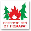 B06