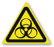 W16